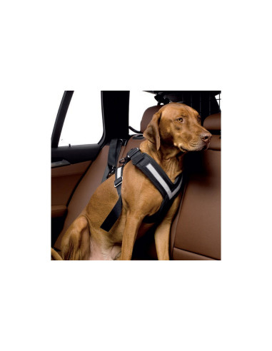 „Allsafe“ šunų saugos diržas