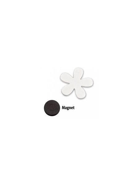 Staltiesė-skundo pateikėja Magneto Bianca