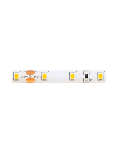 Sigor Essential LED juostelė 12 V / 3 W/m 5 m