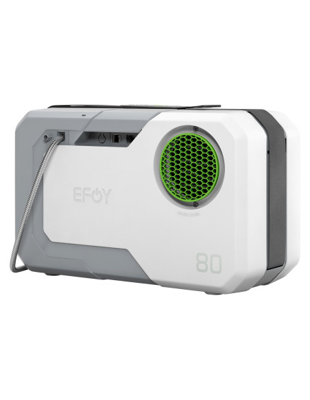 EFOY 80 BT kuro elementas 12/24 V / 40 W